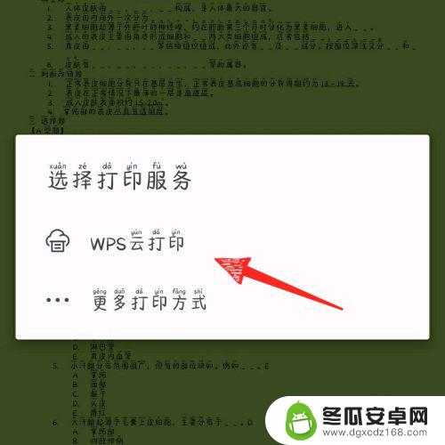 手机wps怎么连接佳能打印机 手机版wps office怎样连接打印机