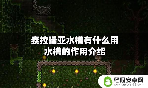 泰拉瑞亚配件槽 泰拉瑞亚水槽有什么作用