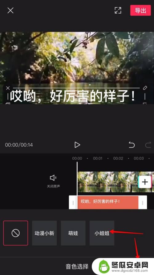 剪映视频如何添加字幕和声音 剪映视频字幕添加声音教程