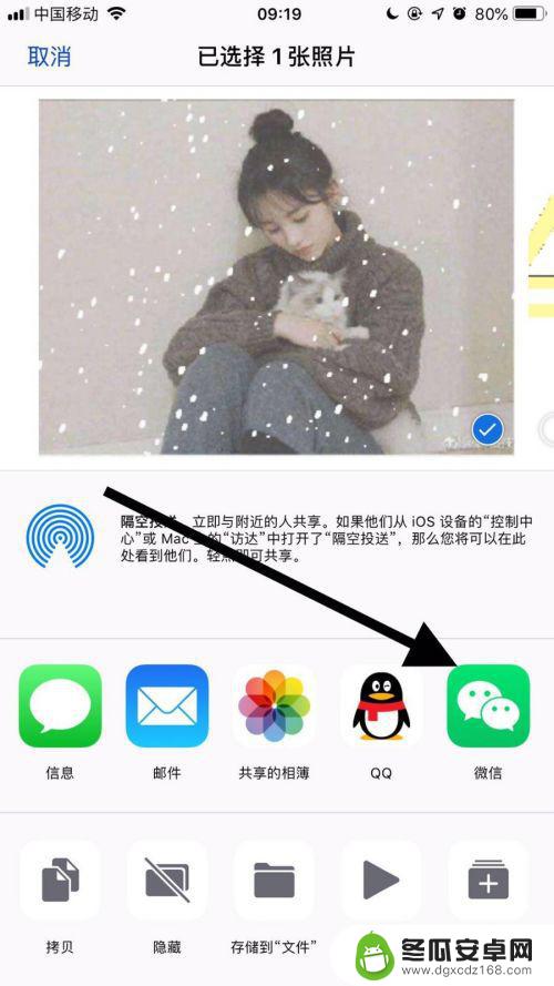 苹果手机动图怎么发给别人 苹果手机如何将动图分享给微信好友