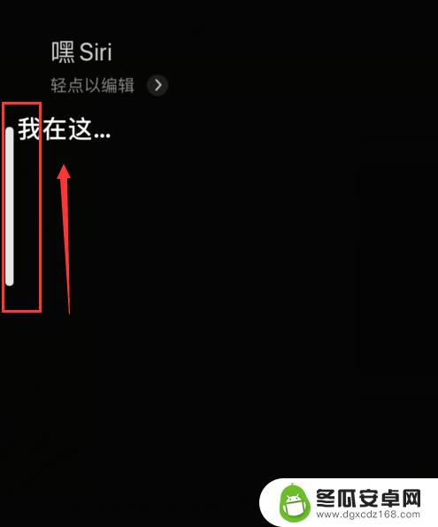 苹果手机siri声音怎么设置大小 iPhone上Siri声音怎么调