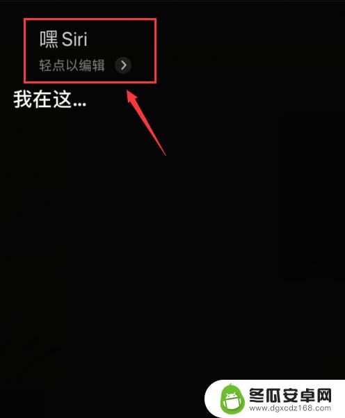 苹果手机siri声音怎么设置大小 iPhone上Siri声音怎么调