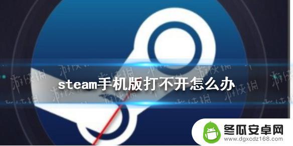 为什么手机steam加载不出来 Steam手机版打不开解决办法iOS