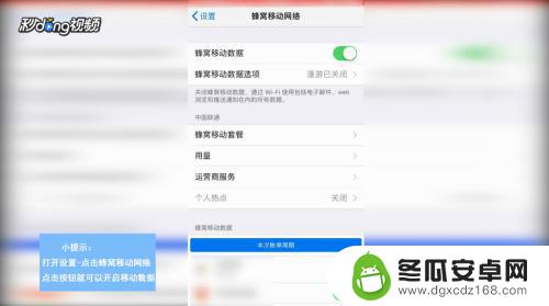 苹果手机数据哪里打开 苹果手机移动数据开关在哪里