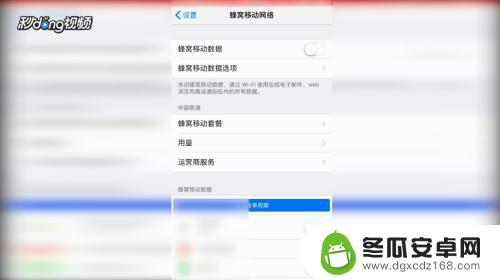 苹果手机数据哪里打开 苹果手机移动数据开关在哪里