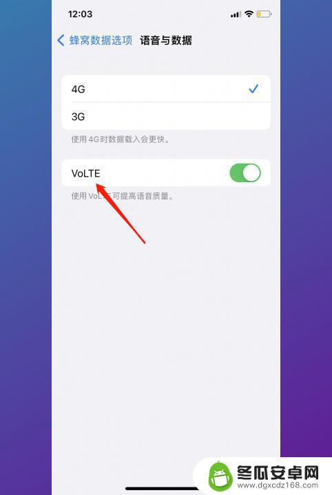 volte开关在哪里设置iphone 苹果手机VoLTE开关在哪设置