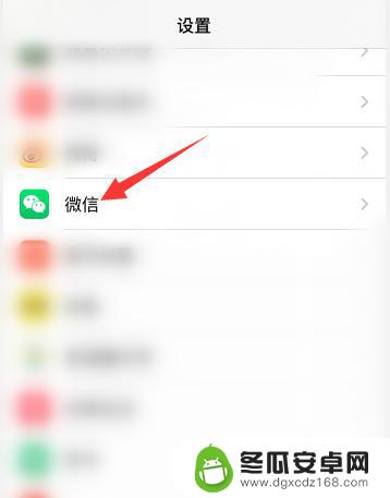 苹果手机微信视频麦克风权限在哪里打开 iphone微信麦克风权限在哪个菜单里设置