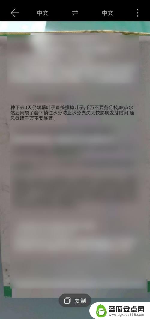 华为手机拍照识别文字 如何在华为手机上使用相机进行文字识别