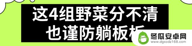 华西中毒专家提醒：上春山采摘野菜需谨慎，避免误食有毒植物