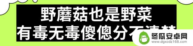 华西中毒专家提醒：上春山采摘野菜需谨慎，避免误食有毒植物