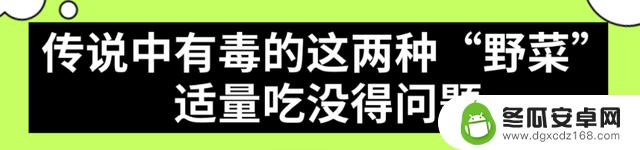 华西中毒专家提醒：上春山采摘野菜需谨慎，避免误食有毒植物