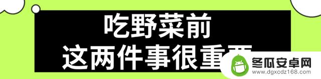 华西中毒专家提醒：上春山采摘野菜需谨慎，避免误食有毒植物