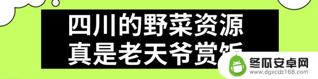 华西中毒专家提醒：上春山采摘野菜需谨慎，避免误食有毒植物