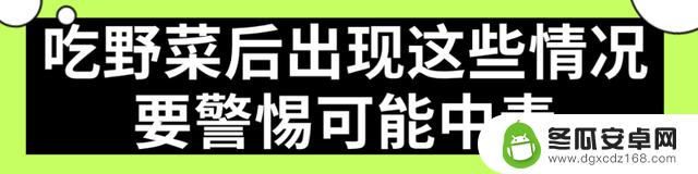 华西中毒专家提醒：上春山采摘野菜需谨慎，避免误食有毒植物