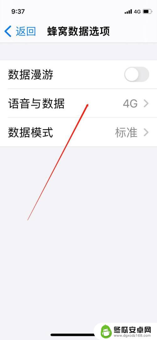 苹果手机怎么开粒子 iPhone手机如何开启5G信号