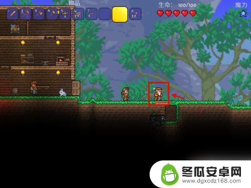 terraria如何获得捕虫网 泰拉瑞亚捕捉网怎么制作