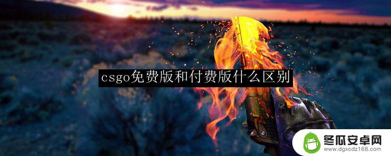 csgo付费和免费有啥区别 csgo免费版和付费版的区别是什么