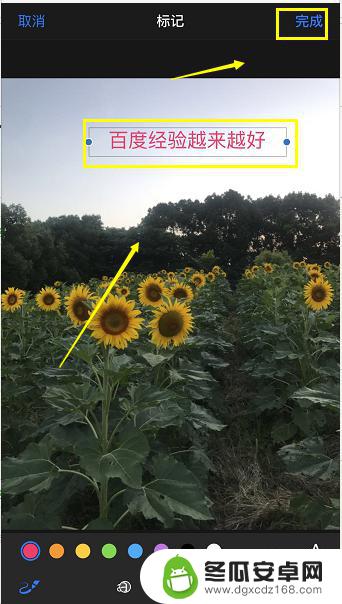 苹果手机怎么有文案 iPhone照片添加文字的步骤