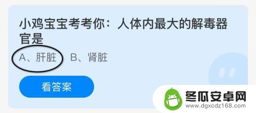 小鸡宝宝考考你人体内最大的觧毒器官是 人体内最大解毒器官是什么