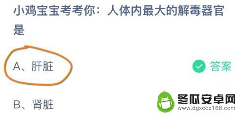 小鸡宝宝考考你人体内最大的觧毒器官是 人体内最大解毒器官是什么