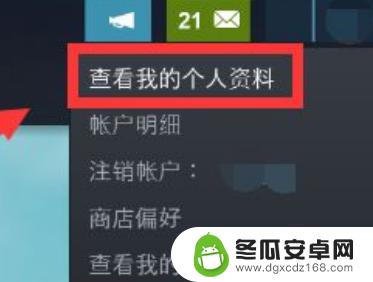 steam怎么把游戏一键隐藏 如何在Steam上隐藏自己的游戏记录