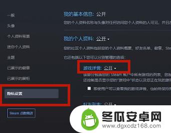 steam怎么把游戏一键隐藏 如何在Steam上隐藏自己的游戏记录