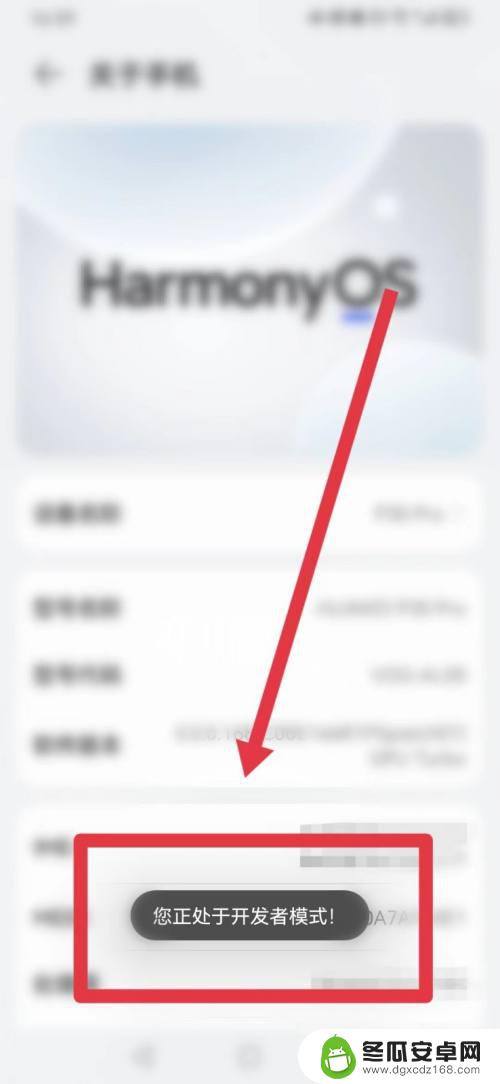 华为手机打开开发人员选项怎么打开 怎样在华为手机上启用开发者模式