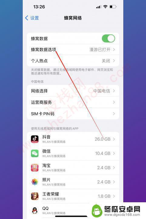 手机流量每天限量怎么设置苹果 iPhone如何设置每日流量限额