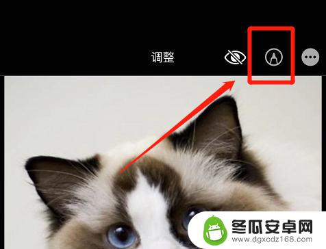 苹果手机照片加字怎么弄 苹果手机图片怎么添加文字
