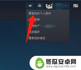 steam怎么设置不让别人看我玩游戏 Steam好友怎样不能看到自己在玩什么游戏