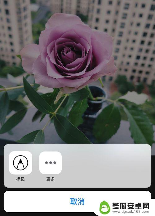 苹果手机标记覆盖图片怎么设置 怎样在苹果手机照片上画圈进行标记
