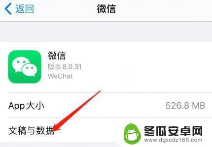 苹果手机app文稿与数据如何查看 如何查看苹果手机中微信的文稿大小
