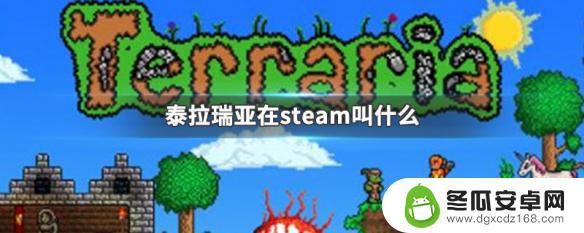 泰拉瑞亚原名 泰拉瑞亚steam购买