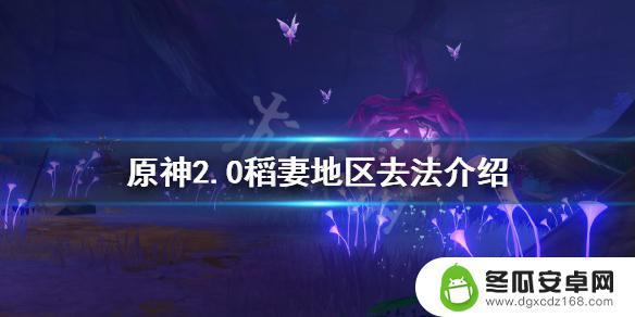 原神中怎么到稻妻 《原神》2.0稻妻地区探索攻略