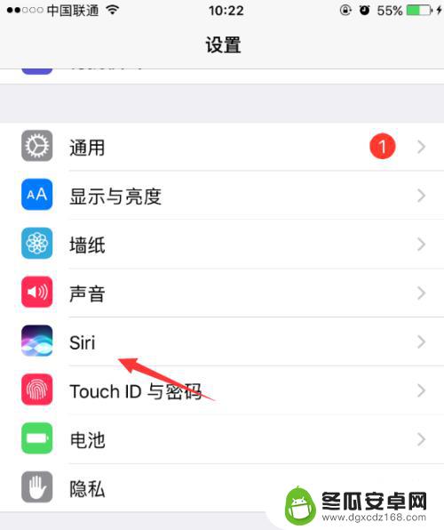 苹果手机不知道为什么可以语音输入文字 iPhone如何开启中文语音输入