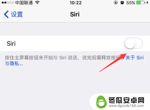 苹果手机不知道为什么可以语音输入文字 iPhone如何开启中文语音输入