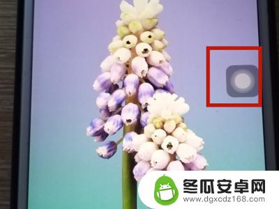 苹果手机如何关注卡顿视频 苹果手机看视频卡顿怎么解决